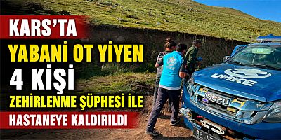 Kars’ta yabani ot yiyen 4 kişi zehirlenme şüphesi ile hastaneye kaldırıldı