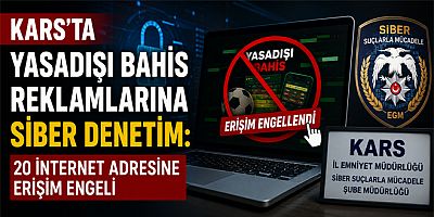 kars siber