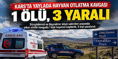 Kars’ta yaylada hayvan otlatma kavgası 1 ölü, 3 yaralı
