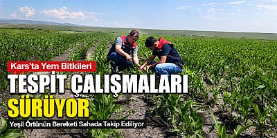 Kars'ta Yem Bitkileri Tespit Çalışmaları Sürüyor