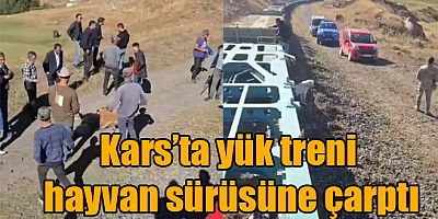 Kars’ta yük treni hayvan sürüsüne çarptı: 5 büyükbaş telef oldu