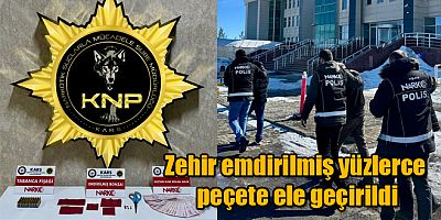 Kars'ta zehir emdirilmiş yüzlerce peçete ele geçirildi