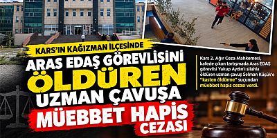 Katil Zanlısına Müebbet Hapis Cezası Verildi