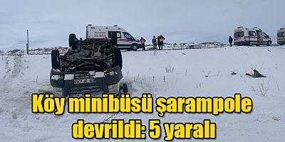 Köy minibüsü şarampole devrildi: 5 yaralı