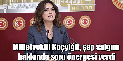 Milletvekili Koçyiğit şap salgını hakkında soru önergesi verdi