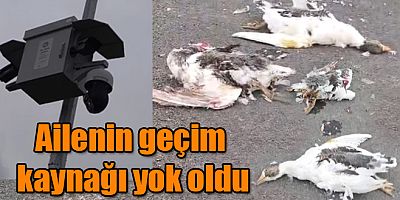  Okçuoğlu Köyü’nde Yaşayan Ailenin Geçim Kaynağı Yok Oldu