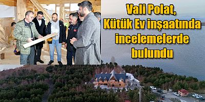 Vali Ziya Polat, Kütük Ev inşaatında incelemelerde bulundu