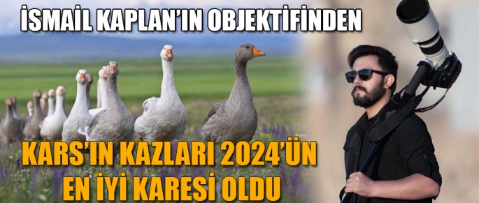 İSMAİL KAPLAN’IN OBJEKTİFİNDEN KARS’IN KAZLARI 2024’ÜN EN İYİ KARESİ OLDU