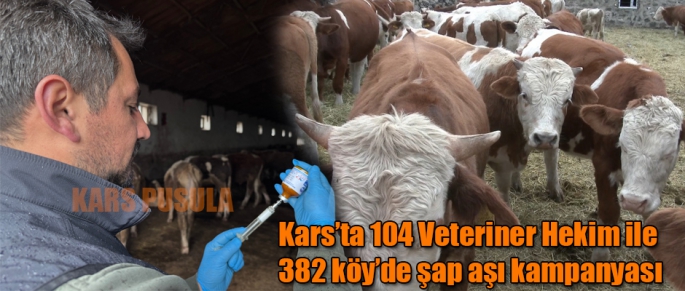 Kars'ta 104 Veteriner Hekim ile 382 köy’de şap aşı kampanyası