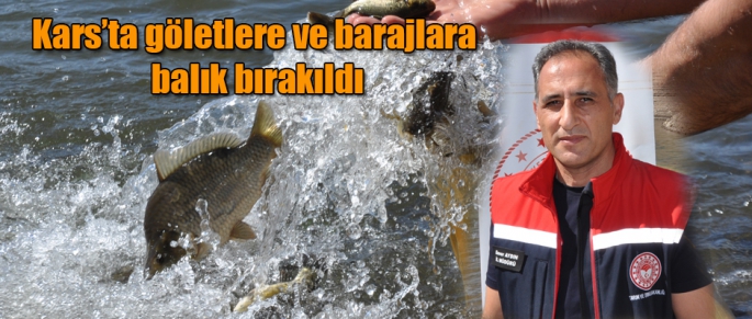 Kars'ta Gölet ve Barajlara Balık Bırakıldı