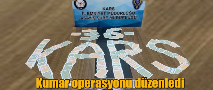 Kars'ta kumar operasyonu 10 gözaltı