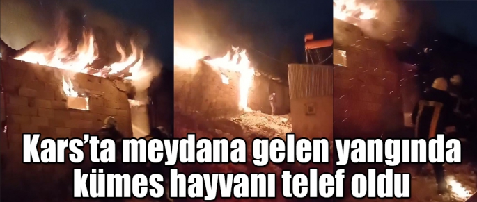 Kars'ta meydana gelen yangında kümes hayvanları telef oldu