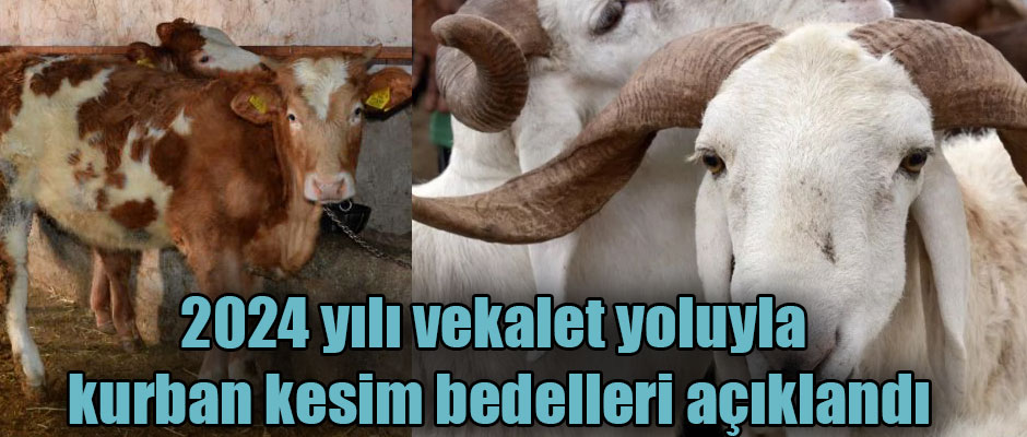 2024 yılı vekalet yoluyla kurban kesim bedelleri açıklandı