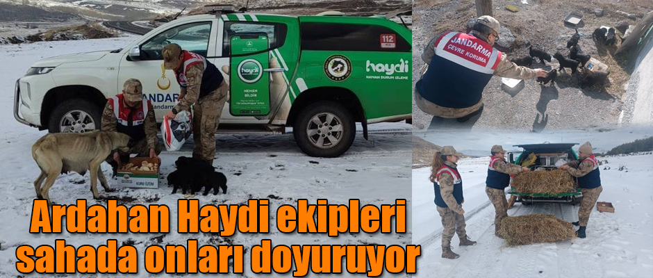 Ardahan Haydi ekipleri sahada onları doyuruyor