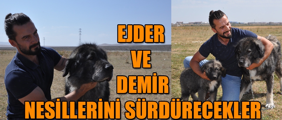 EJDER VE DEMİR NESİLLERİNİ SÜRDÜRECEKLER