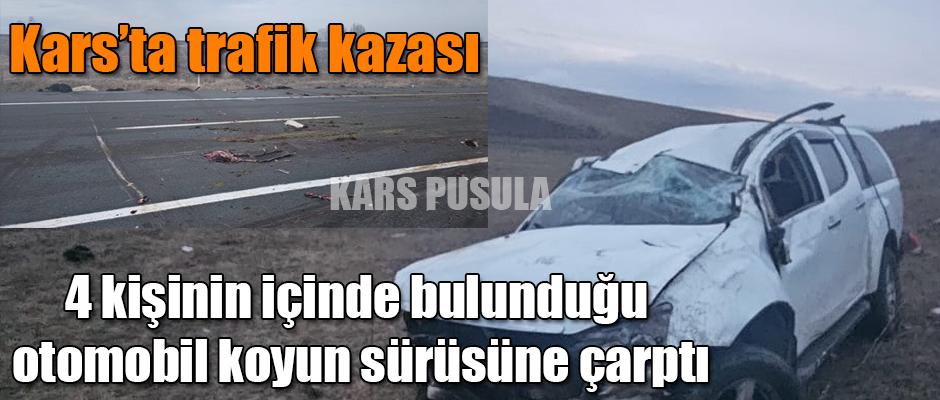 Kars'ta 4 kişinin içinde bulunduğu otomobil koyun sürüsüne çarptı