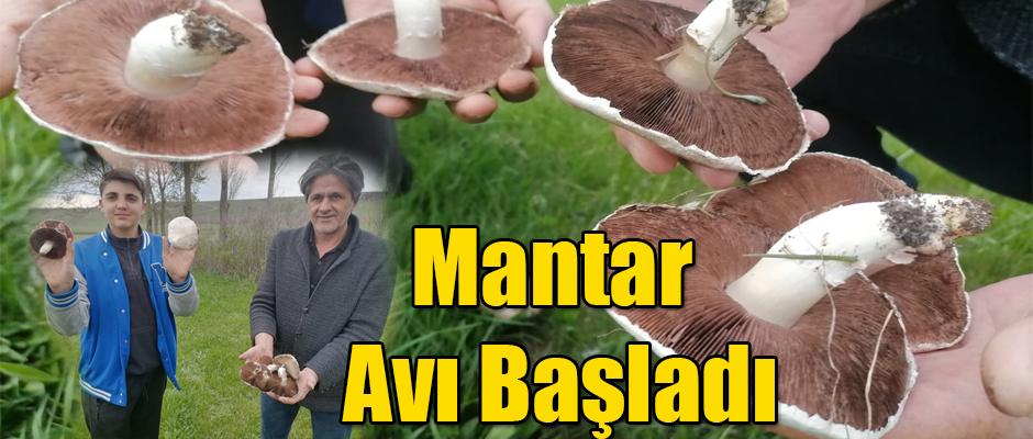 Kars'ta Mantarlar Toplanmaya Başlandı