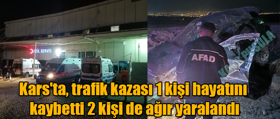 Kars'ta trafik kazası 1 kişi hayatını kaybetti iki kişi de ağır yaralandı