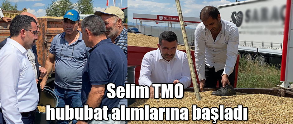 Selim İlçesi Toprak Mahsülleri Ofisi Hububat Alımlarına Başladı