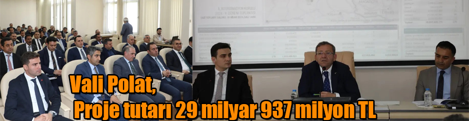 Vali Ziya Polat, 29 milyar 937 milyon Tl