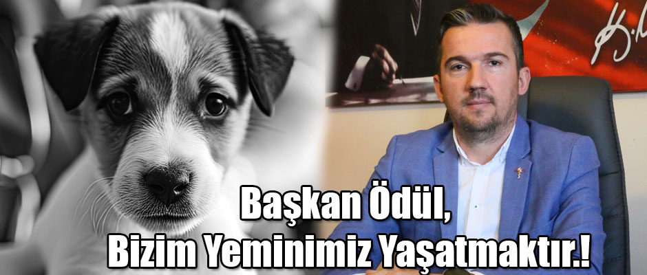 VHO Başkanı Ercan Ödül Bizim Yeminimiz Yaşatmaktır.!